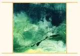 Abstract Printed Pure Silk Scarf